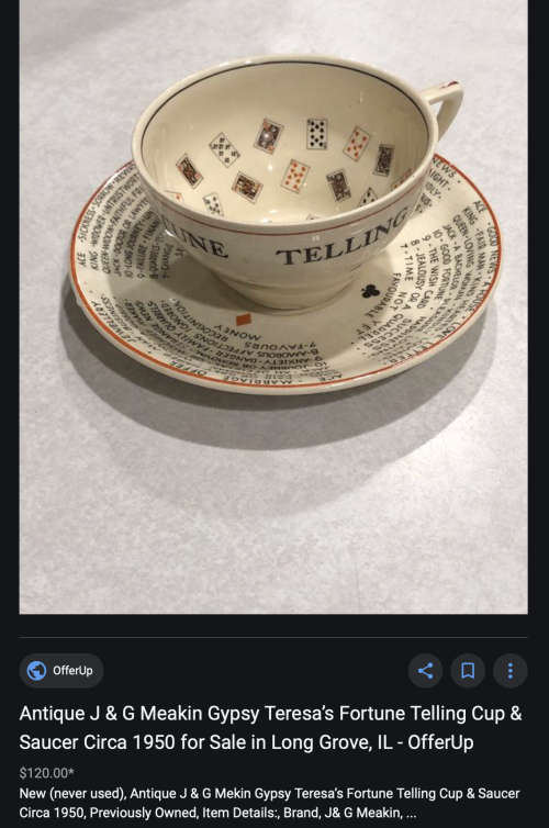 J & G Meakin Gypsy Teresa's Fortune Telling Cup - Rare