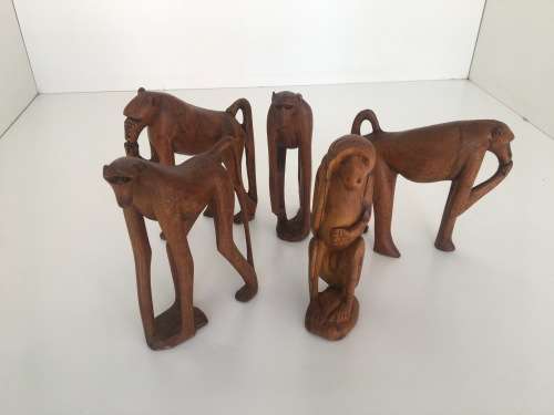 Babble of Baboons - Check Out These Quirky Fellows