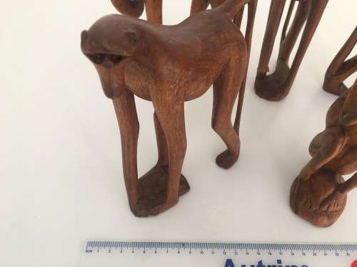 Babble of Baboons - Check Out These Quirky Fellows