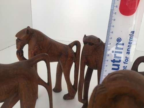 Babble of Baboons - Check Out These Quirky Fellows