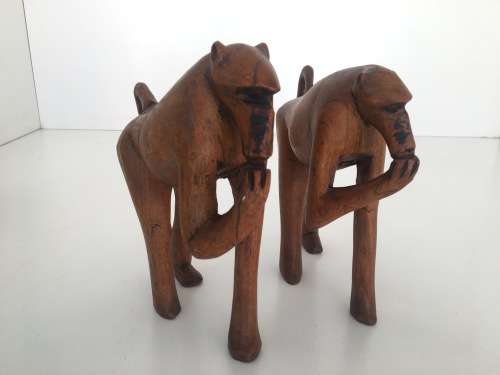 Babble of Baboons - Check Out These Quirky Fellows