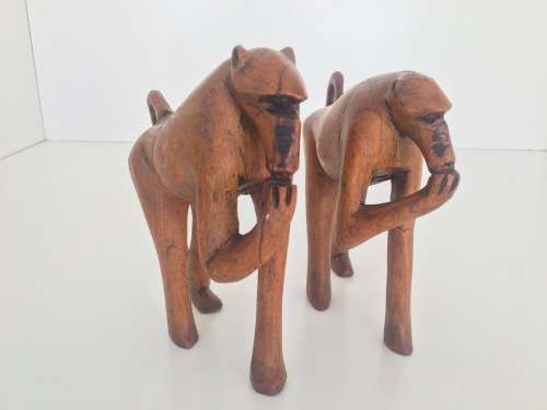 Babble of Baboons - Check Out These Quirky Fellows