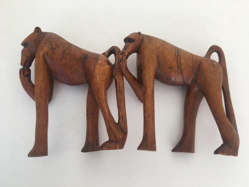 Babble of Baboons - Check Out These Quirky Fellows