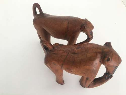 Babble of Baboons - Check Out These Quirky Fellows