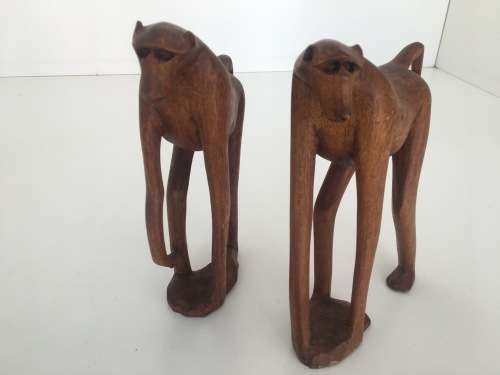 Babble of Baboons - Check Out These Quirky Fellows