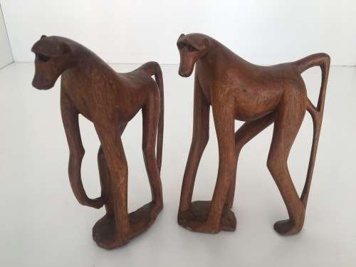 Babble of Baboons - Check Out These Quirky Fellows