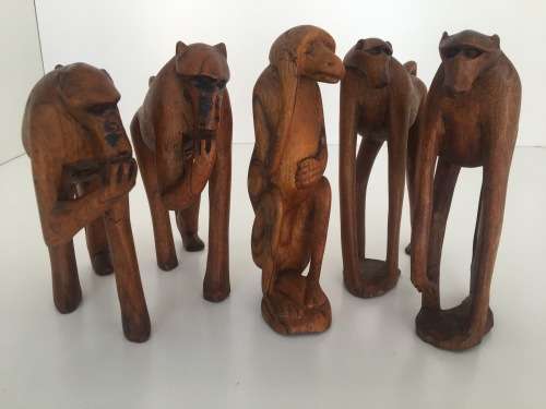 Babble of Baboons - Check Out These Quirky Fellows