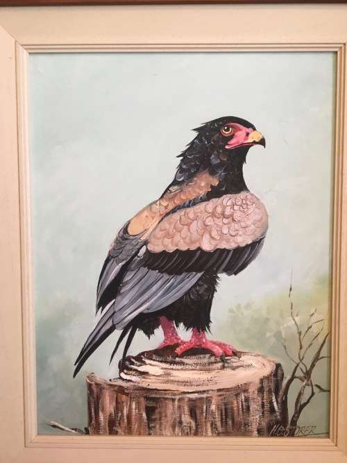 HG Storer - Original Signed Eagle Painting