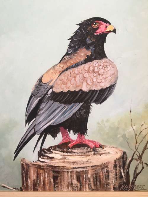 HG Storer - Original Signed Eagle Painting