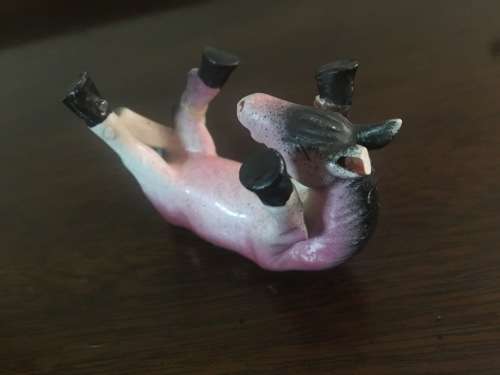 Herd of Happy Horses