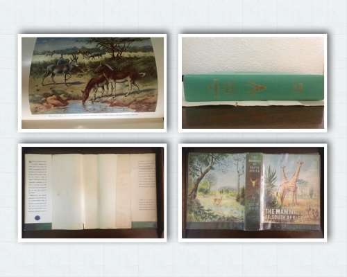 The Mammals of South Africa - Austin Roberts