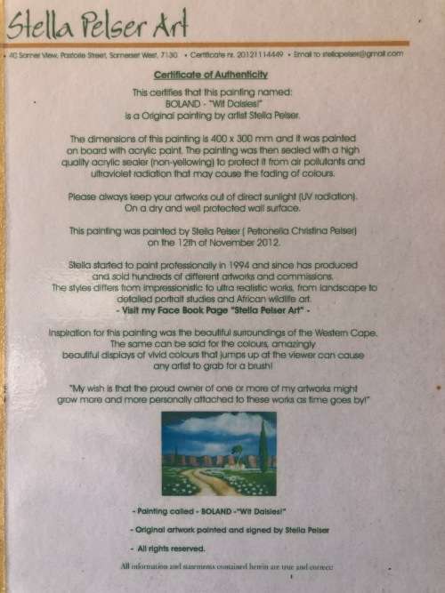 Original Stella Pelser Art - Boland - `Wit Daisies!`