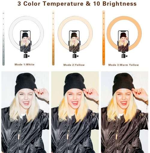 Ring Light 10" with Adjustable Tripod Stand & Phone Holder for Youtube Video, Dimmable Desk LED Ring