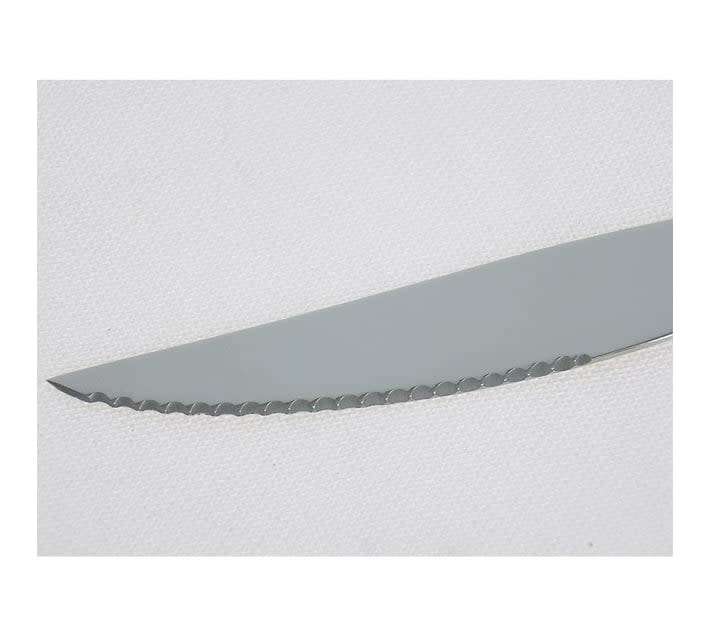 6 Piece Stainless Steel Steak Knives