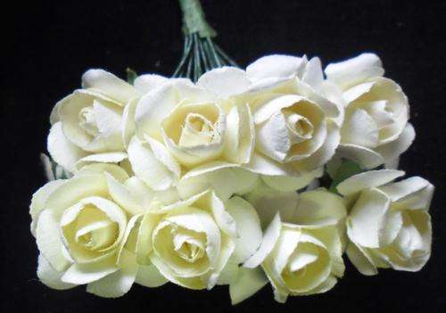 Cream Paper Rose, 15mm Bloom - Per Bunch.