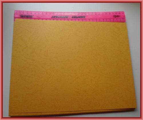 Scrapbooking board - 22 pages!