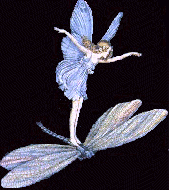 6876 Piece Glass and Findings Kit.