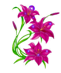 245 ECCENTRIC FLOWER POWER ACRYLICS WITH FREE ORGANISER!