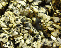 Dalmation Stone Chip String - Per 20cm Length.