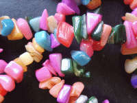 Multi-Coloured Shell Chips - Pack of  20.