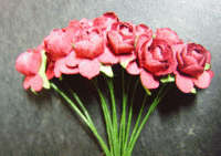 Maroon Paper Flowers, per bunch of 12 - +/- 10mm bloom.