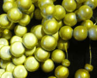 Yellow Miracle Glass Beads ,10mm - Pack. of 10.