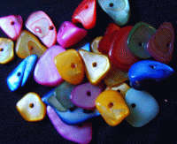 Special : Multi Colour Shell Chips - Pack of 20.
