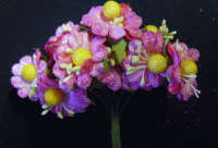 Pink and Yellow Material  Flowers, per bunch of 10 .