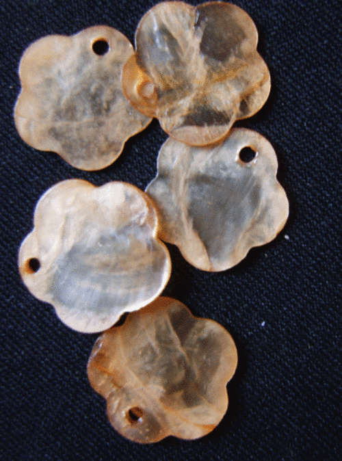 Golden Shell Bead ,15mm - Pack of 10.