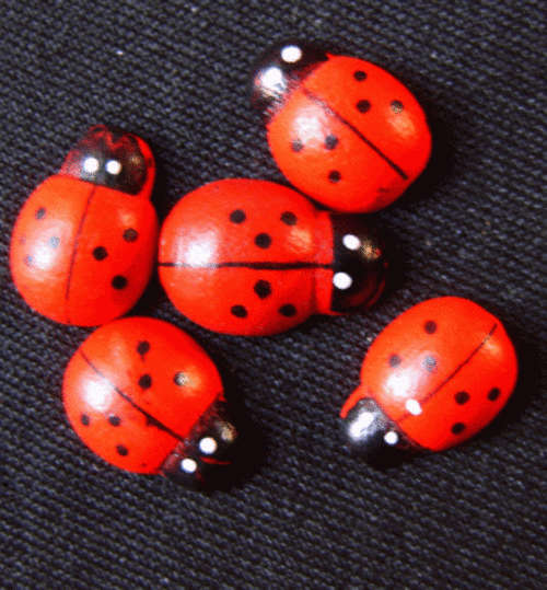 Ladybug Embellishment, 11mm x 8mm - Pack of 10.