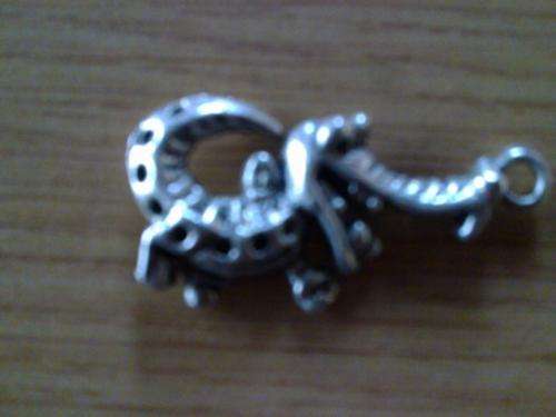 Charm - dragon - large