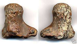 DINOSAUR / Fossil / Ancient MOSASAUR VERTEBRA BONE 140 Million years old