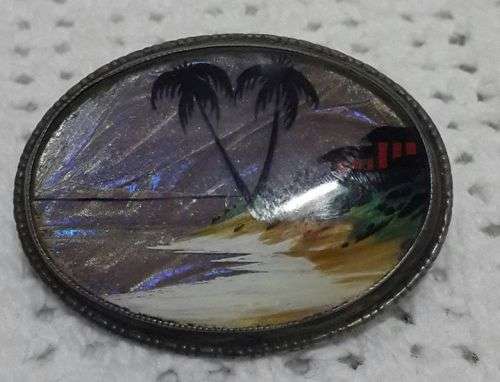 Beautiful butterfly wing brooch! Silver setting