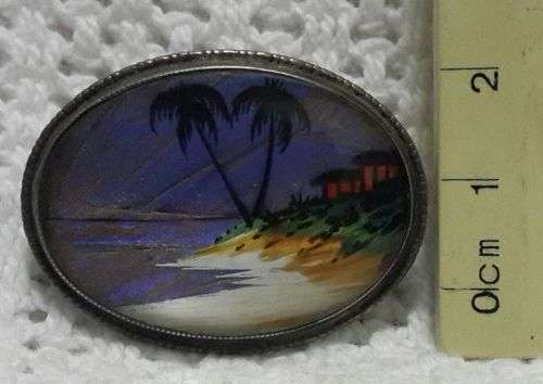 Beautiful butterfly wing brooch! Silver setting