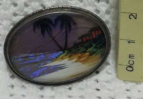 Beautiful butterfly wing brooch! Silver setting