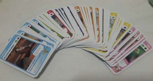 Pick and Pay Super Animal cards - full pack!