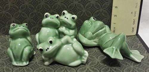 Cute frog family