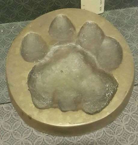 1985 BW Genis African Lion spoor in solid brass! WOW!!