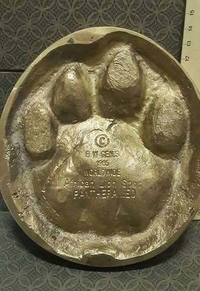 1985 BW Genis African Lion spoor in solid brass! WOW!!