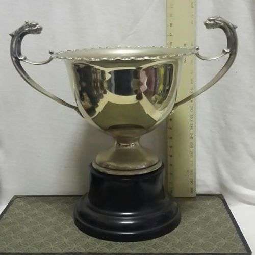 EPNS Trophy - Beautiful!! LOOK!