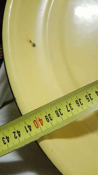 Big Enamel tray/platter