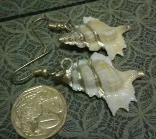 Lovely shell earrings!!