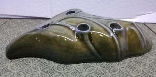 Leaf flower frog - Wade