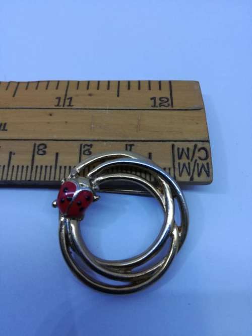 Lovely lady bug brooch