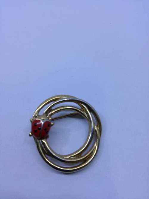 Lovely lady bug brooch