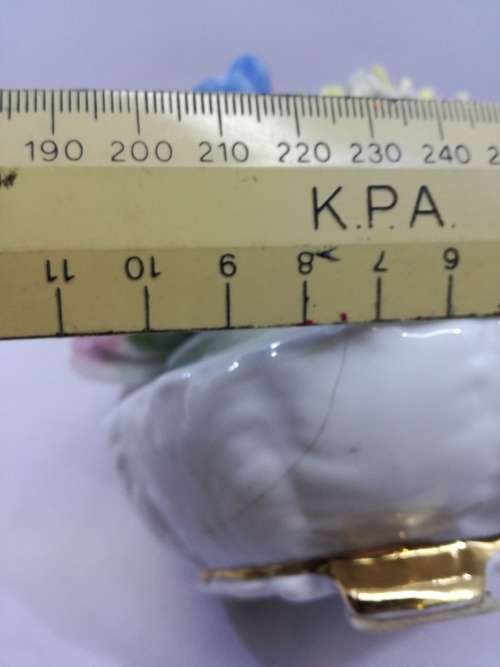 Vintage Porcelain Radnor Bone China Flowers Staffordshire England - Flowers all intact, vase cracked