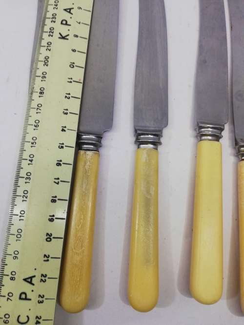 Vintage bone handle knife set
