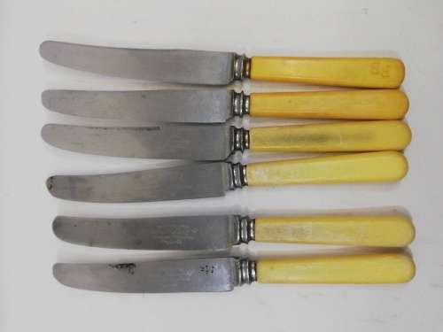 Vintage bone handle  knife set