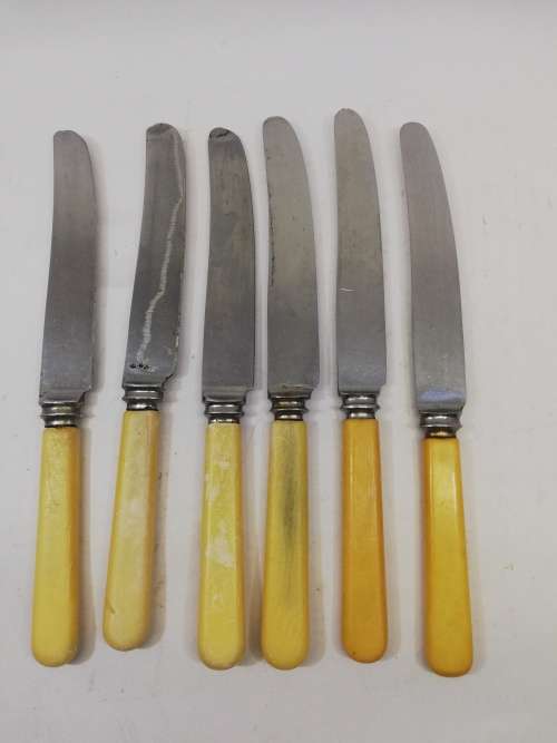 Vintage bone handle  knife set