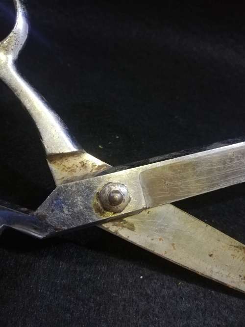 Big Vintage scissors
